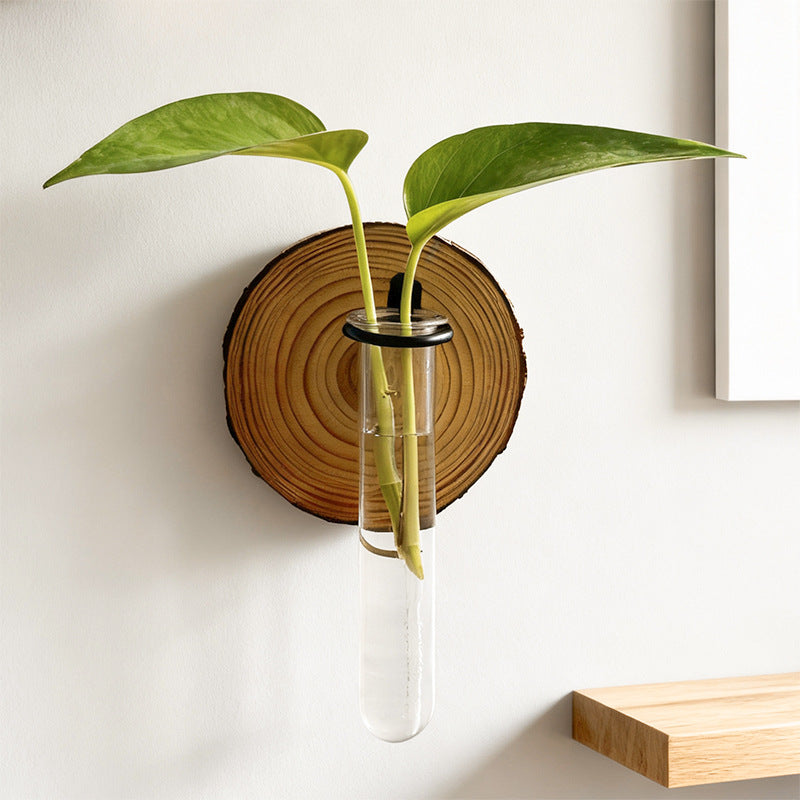 Wall-Mounted Hydroponic Plant Test TubeFlower Pot for Indoor Plants & Cuttings - Image 2