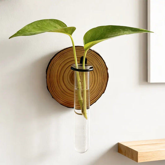 Wall-Mounted Hydroponic Plant Test TubeFlower Pot for Indoor Plants & Cuttings - Image 2