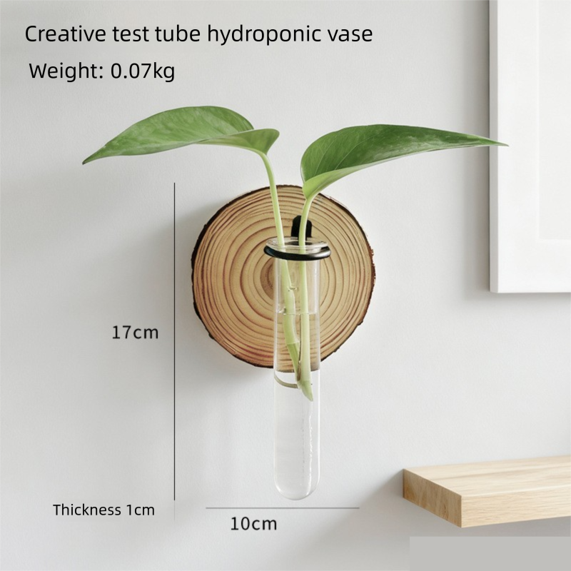 Wall-Mounted Hydroponic Plant Test TubeFlower Pot for Indoor Plants & Cuttings - Image 3