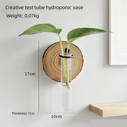 3-Pack Wall-Mounted Hydroponic Plant Test TubeFlower Pot for Indoor Plants & Cuttings - Image 3