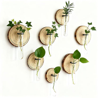6-Pack Wall-Mounted Hydroponic Plant Test TubeFlower Pot for Indoor Plants & Cuttings
