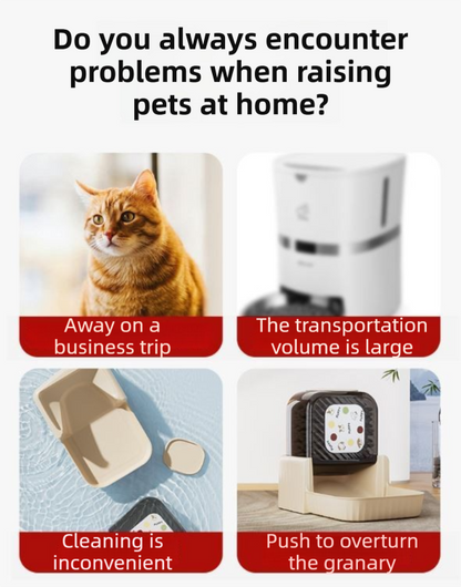 Grey Silent Automatic Pet Single Meal Dispenser with Rotary Buckle - Longest 48H Scheduled and Long Battery Life, Detachable for Easy Cleaning - Image 2