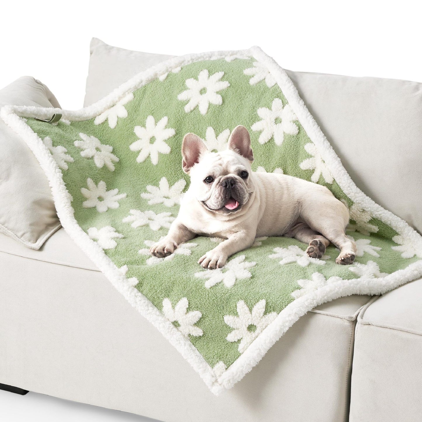 65 x 90 CM Waterproof Soft Sherpa Fleece Pet Blanket (Green Floral) - Reversible Thickened Furniture Protector for Dogs & Cats