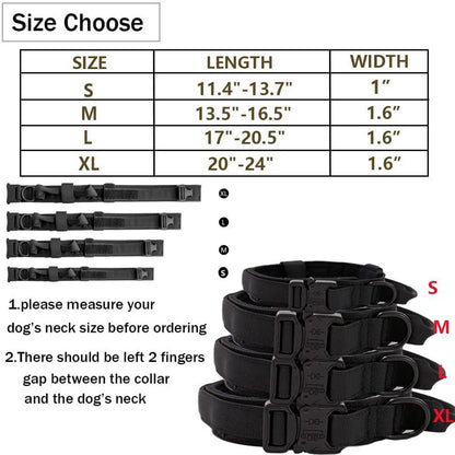 L khaki Hands-Free Dog Leash with Adjustable Waist Belt - Shock Absorbing Bungee Lead - Image 2