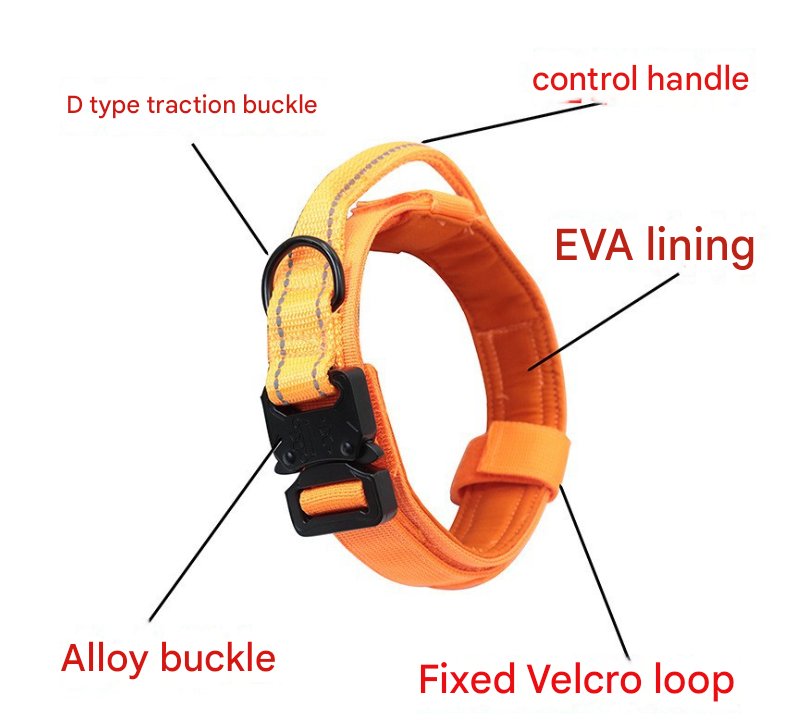 M Green Hands-Free Dog Leash with Adjustable Waist Belt - Shock Absorbing Bungee Lead - Image 3