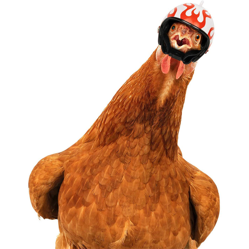 White Pet Chicken Helmet Set of 3 – Protective Headgear for Chicks, Hens, and Birds - Image 2