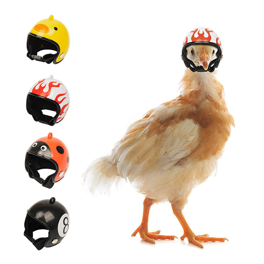 Green Pet Chicken Helmet Set of 3 – Protective Headgear for Chicks, Hens, and Birds - Image 3