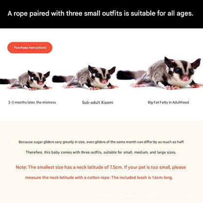 2-Pack Pink Small Mammal Harness Set – 6 Pcs (S/M/L ×2) + 2×1.5m Leashes for Secure Outdoor Handling - Image 3