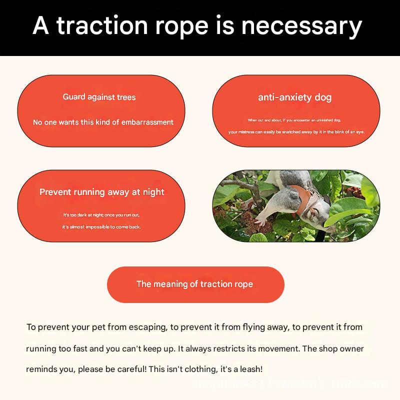 2-Pack yellow Small Mammal Harness Set – 6 Pcs (S/M/L ×2) + 2×1.5m Leashes for Secure Outdoor Handling - Image 2