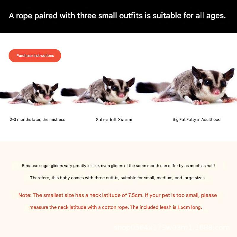 2-Pack Apple green Small Mammal Harness Set – 6 Pcs (S/M/L ×2) + 2×1.5m Leashes for Secure Outdoor Handling - Image 3