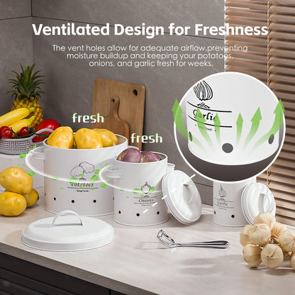 3 pcs Galvanised Iron Fruit Vegetable Storage Tins - Image 2