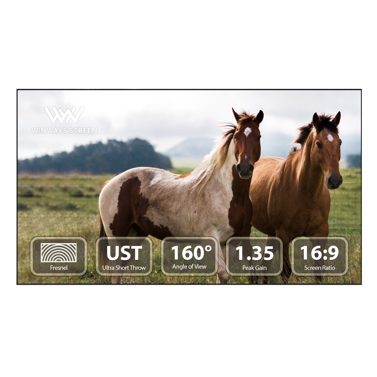 Winways UST Throw ALR 120'' Fixed Frame Fresnel Screen - Image 2