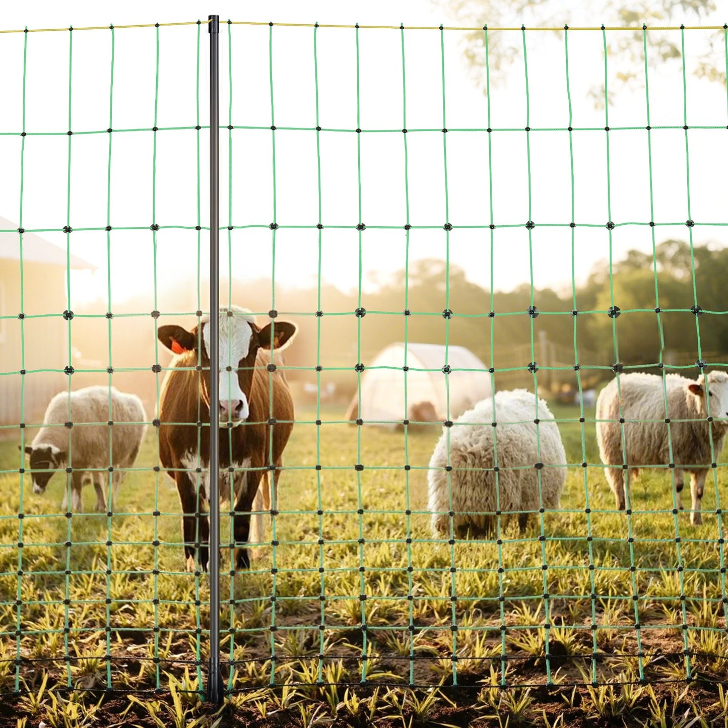 Electric Fence Netting, 0.88 x 49.98 m, PE Net Fencing with Posts & Double-Spiked Stakes, Utility Portable Mesh for Goats, Sheep, Lambs, Deer, Hogs, Dogs, Used in Backyards, Farms, and Ranches - Image 8