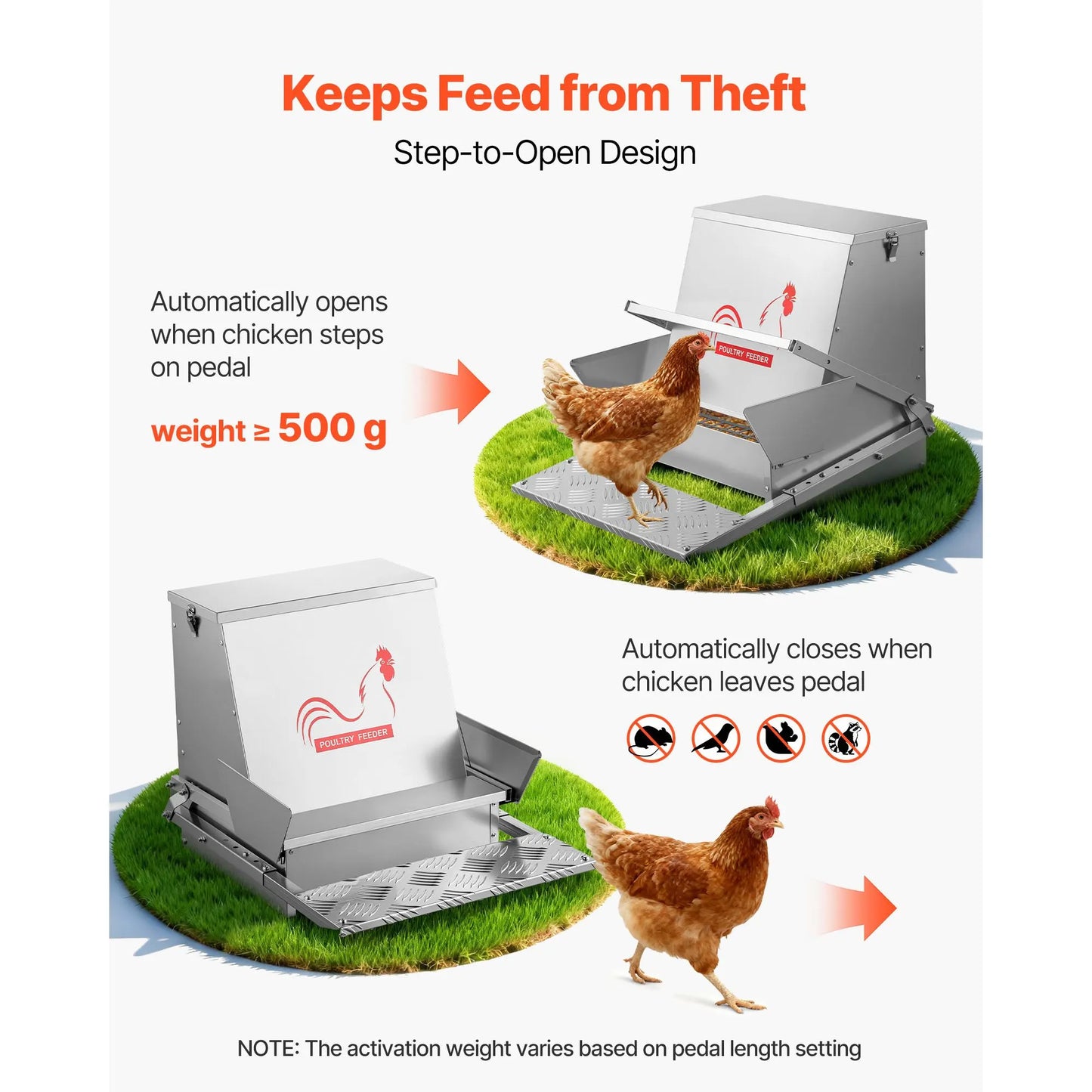 Automatic Chicken Feeder, 18.14 kg Capacity, Rainproof Treadle Poultry Feeder with Lockable Lid, No Waste, Galvanized Steel Construction, Outdoor Use, for Chicken, Bantams, Poultry, Pheasants - Image 2