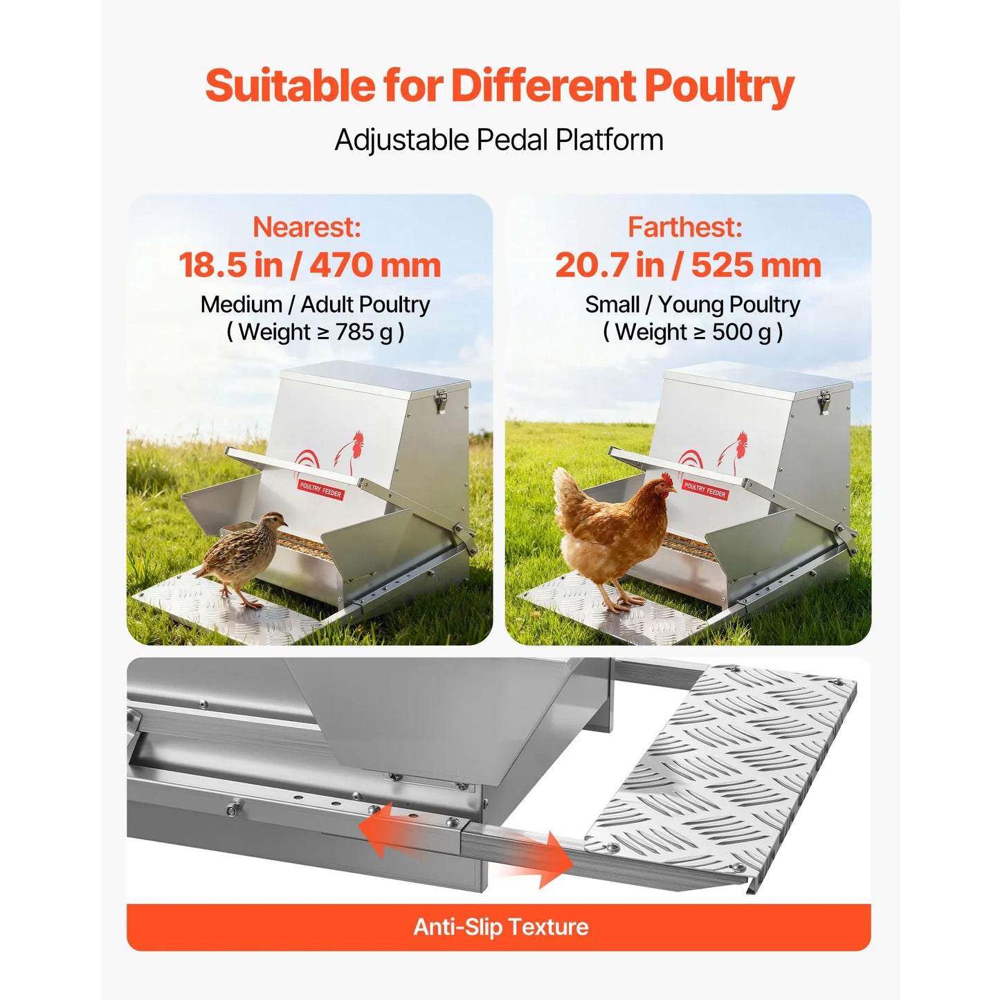 Automatic Chicken Feeder, 18.14 kg Capacity, Rainproof Treadle Poultry Feeder with Lockable Lid, No Waste, Galvanized Steel Construction, Outdoor Use, for Chicken, Bantams, Poultry, Pheasants - Image 4