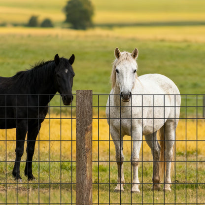Farm Fence, 122cm x 15.2m, 2 x 4 in Mesh 14 Gauge Galvanized Steel Wire Fencing for Cattle, Hog & Sheep , Heavy Duty Vinyl Coated Livestock Fence for Animal Enclosures, Cage Wire, Garden Fences - Image 8