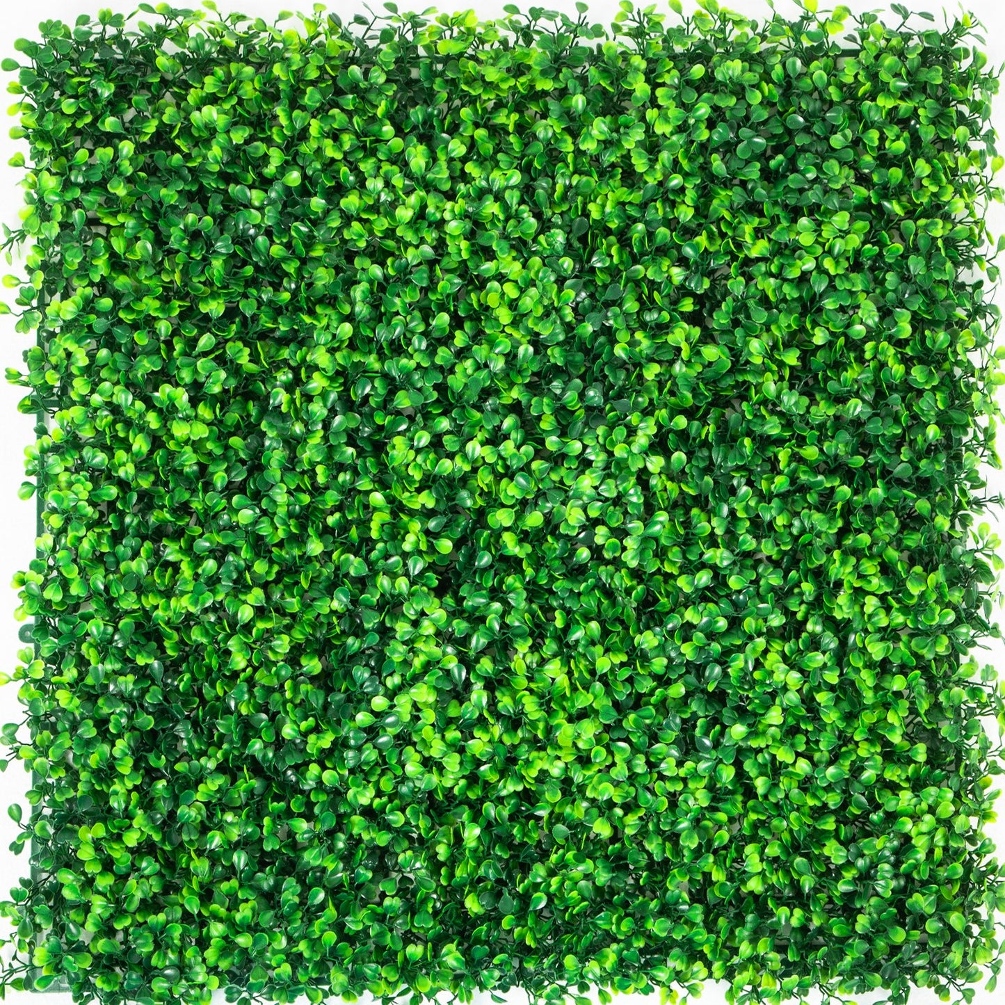 Artificial Boxwood Panels, 20 PCS 20\"x20\" Boxwood Hedge Wall Panels, PE Artificial Grass Backdrop Wall 1.6\", Privacy Hedge Screen for Decoration of Outdoor, Indoor, Garden, Fence, and Backyar - Image 9