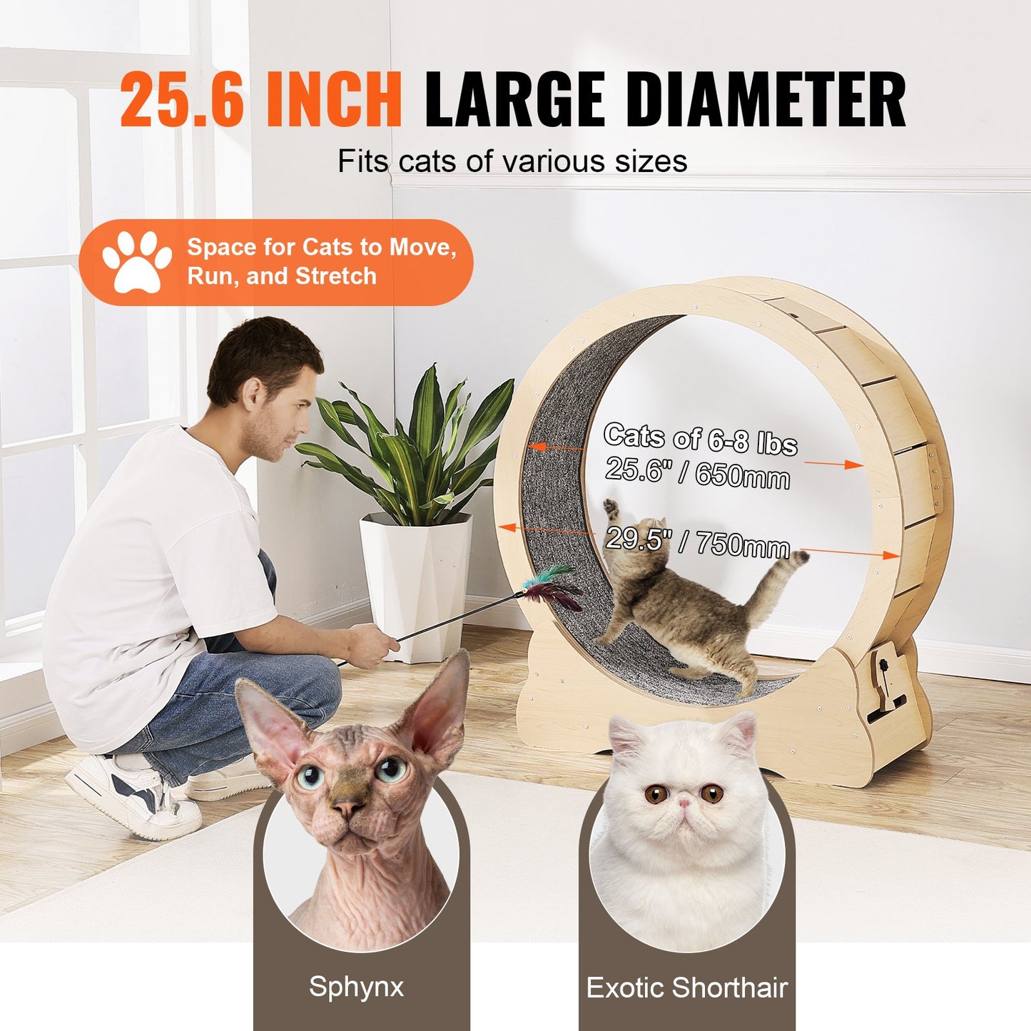 Cat Exercise Wheel Large Cat Treadmill Wheel for Indoor Cats 29.5 inch - Image 4