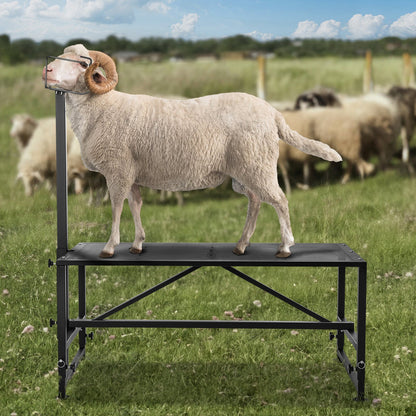 Goat & Sheep Stand, 47x23 inch Livestock Stand, Metal Livestock Milking and Shearing Stand 21" to 33" Adjustable Height, with Headpiece and Nose Loop, 500lbs Loading Weight, Black - Image 8