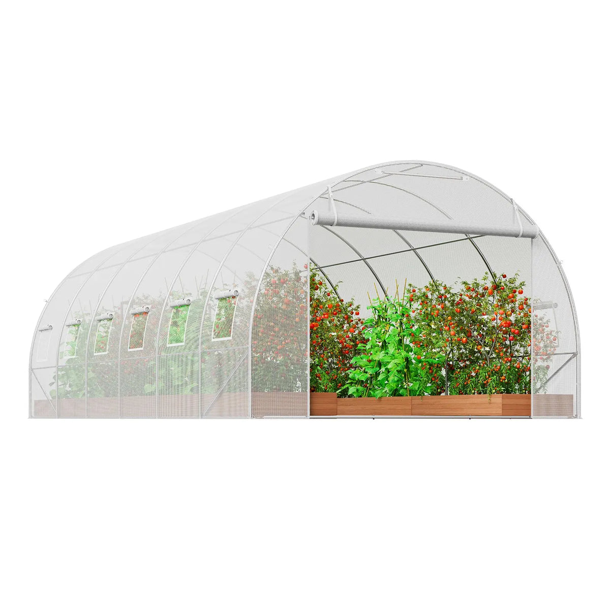 Walk-in Tunnel Greenhouse, 19.4x9.7x6.5 ft Hoop House Greenhouse Tunnel, Plant Hot House with Galvanized Steel Frame, White PE Cover, Roll-up Zipper Door and 12 Windows for Outdoor