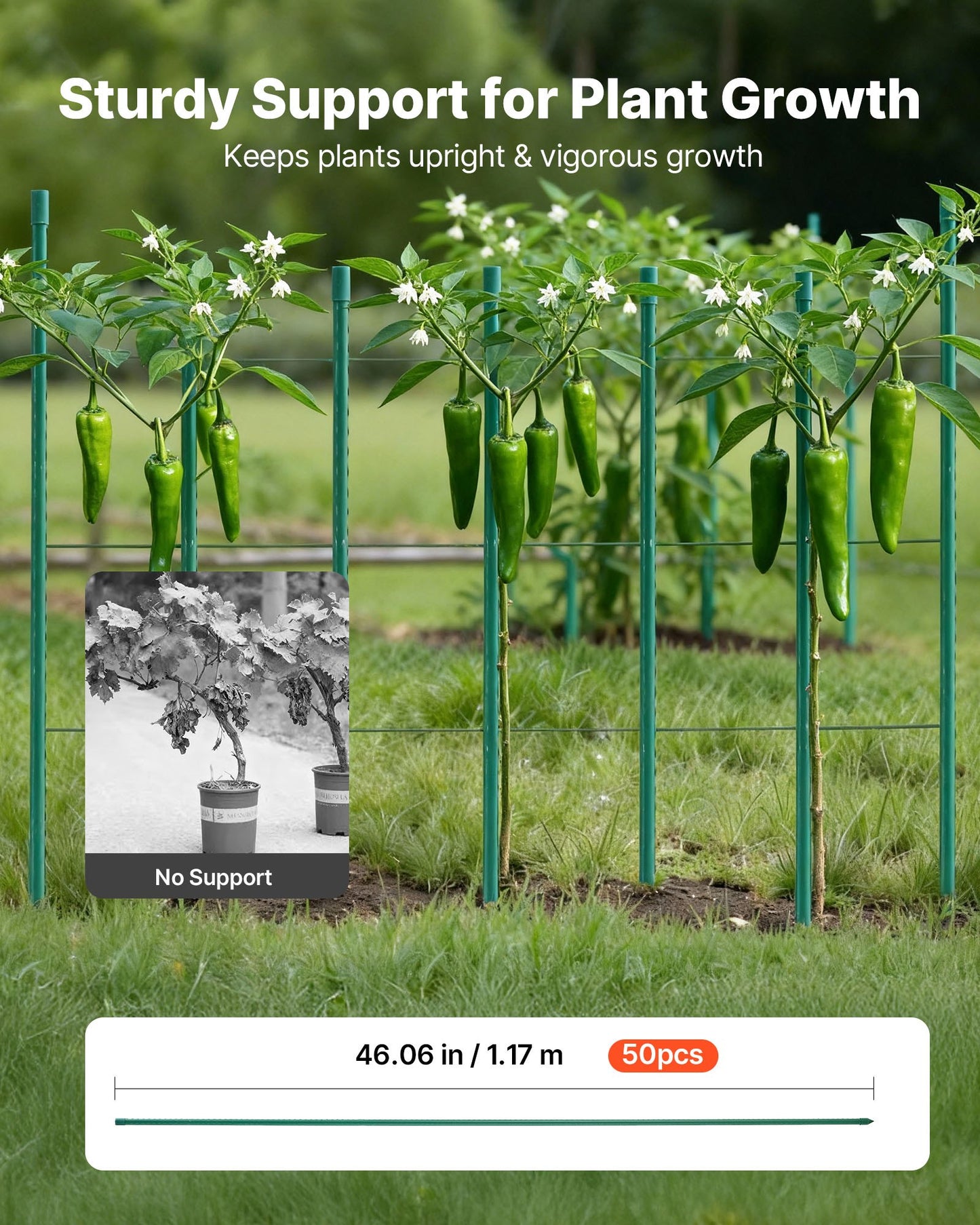 Garden Stakes, 50 Pack, 1170 mm, Plastic Coated Metal Tomato Stakes, Garden Sticks for Plants Support, with Pointed End and Non-Slip Bumps for Growing Climbing Plants, Outdoor Vegetables - Image 2