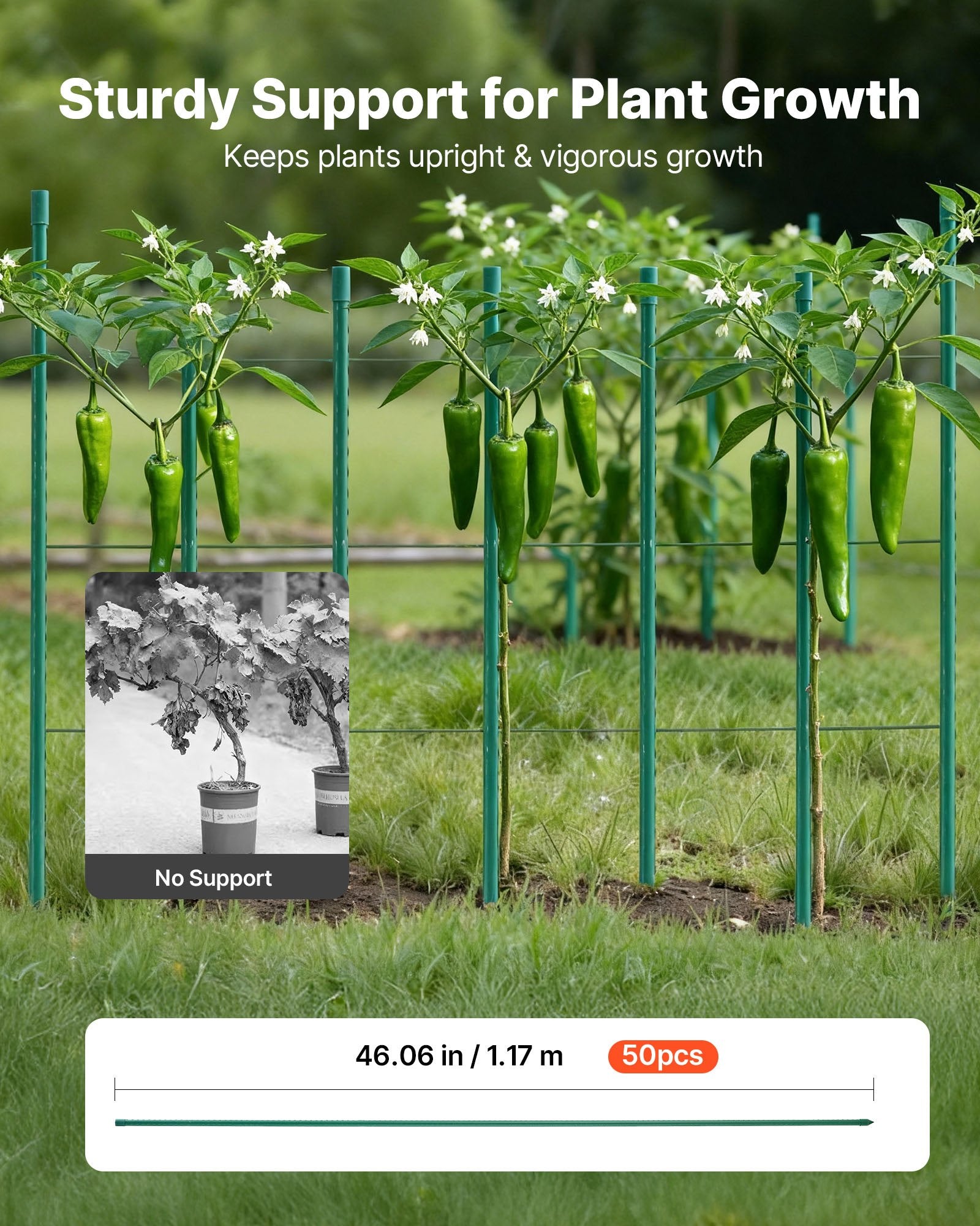 Garden Stakes, 50 Pack, 1170 mm, Plastic Coated Metal Tomato Stakes, Garden Sticks for Plants Support, with Pointed End and Non-Slip Bumps for Growing Climbing Plants, Outdoor Vegetables - Image 2