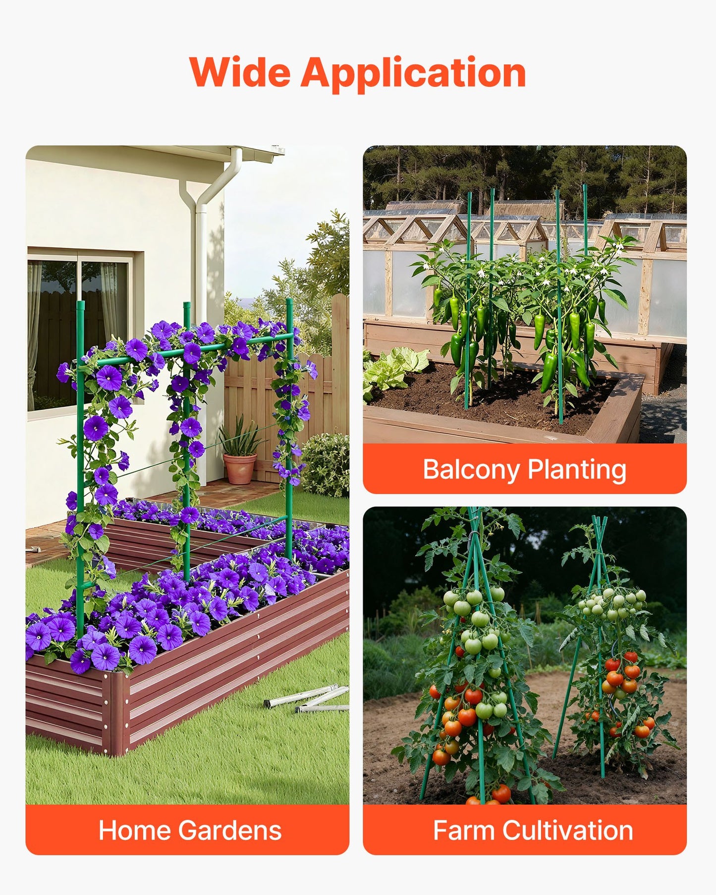 Garden Stakes, 50 Pack, 1170 mm, Plastic Coated Metal Tomato Stakes, Garden Sticks for Plants Support, with Pointed End and Non-Slip Bumps for Growing Climbing Plants, Outdoor Vegetables - Image 6