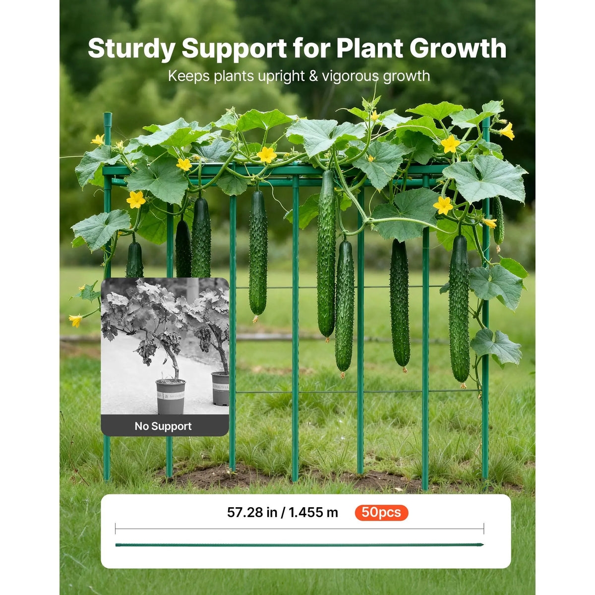 Garden Stakes, 50 Pack, 1455 mm, Plastic Coated Metal Tomato Stakes, Garden Sticks for Plants Support, with Pointed End and Non-Slip Bumps for Growing Climbing Plants, Outdoor Vegetables - Image 2