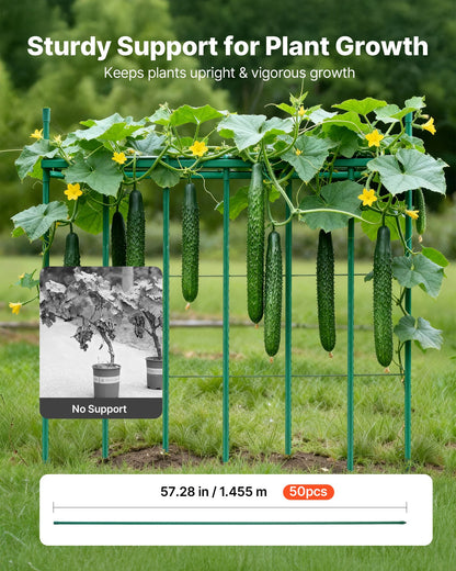 Garden Stakes, 50 Pack, 1455 mm, Plastic Coated Metal Tomato Stakes, Garden Sticks for Plants Support, with Pointed End and Non-Slip Bumps for Growing Climbing Plants, Outdoor Vegetables - Image 2
