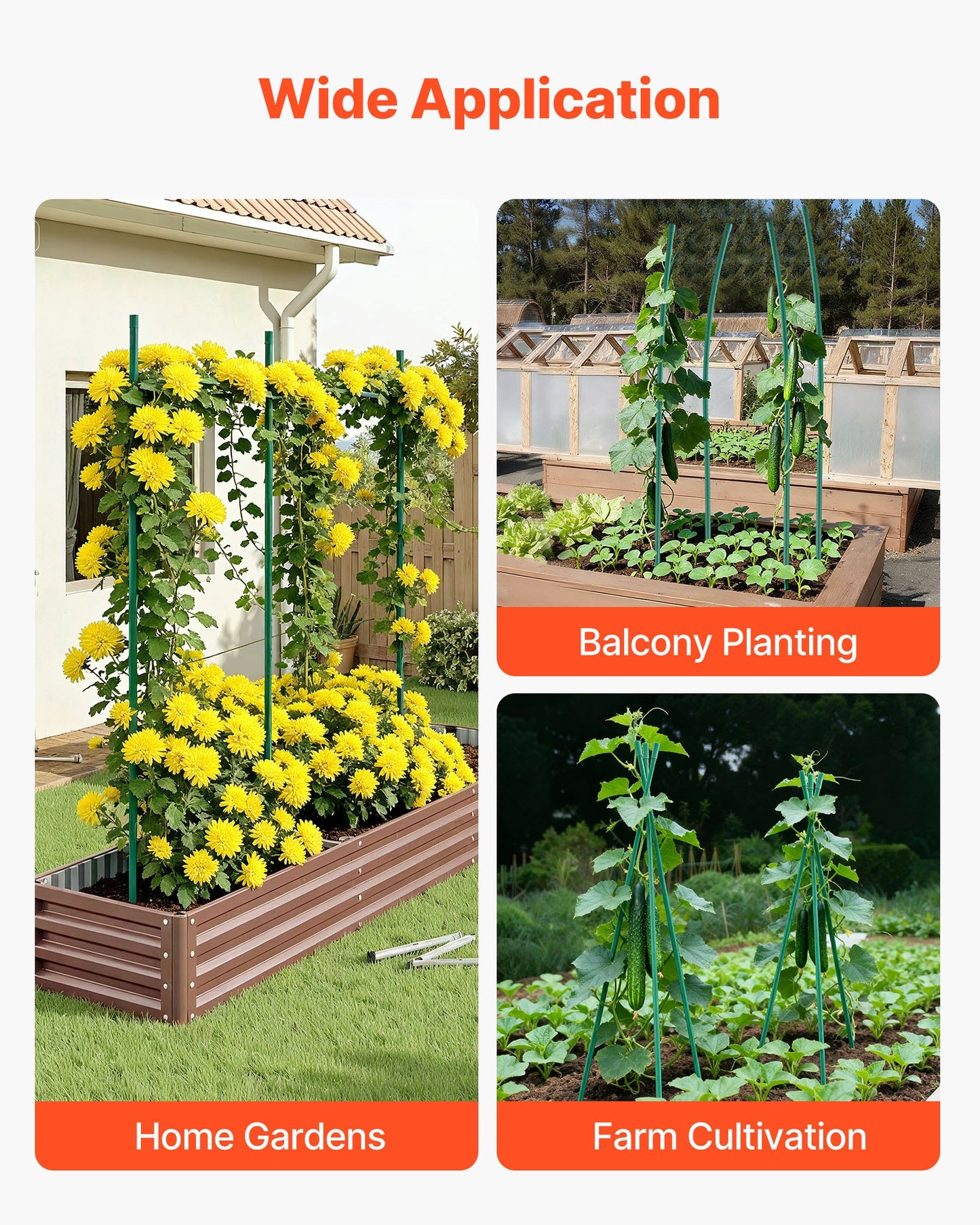 Garden Stakes, 50 Pack, 1455 mm, Plastic Coated Metal Tomato Stakes, Garden Sticks for Plants Support, with Pointed End and Non-Slip Bumps for Growing Climbing Plants, Outdoor Vegetables - Image 6