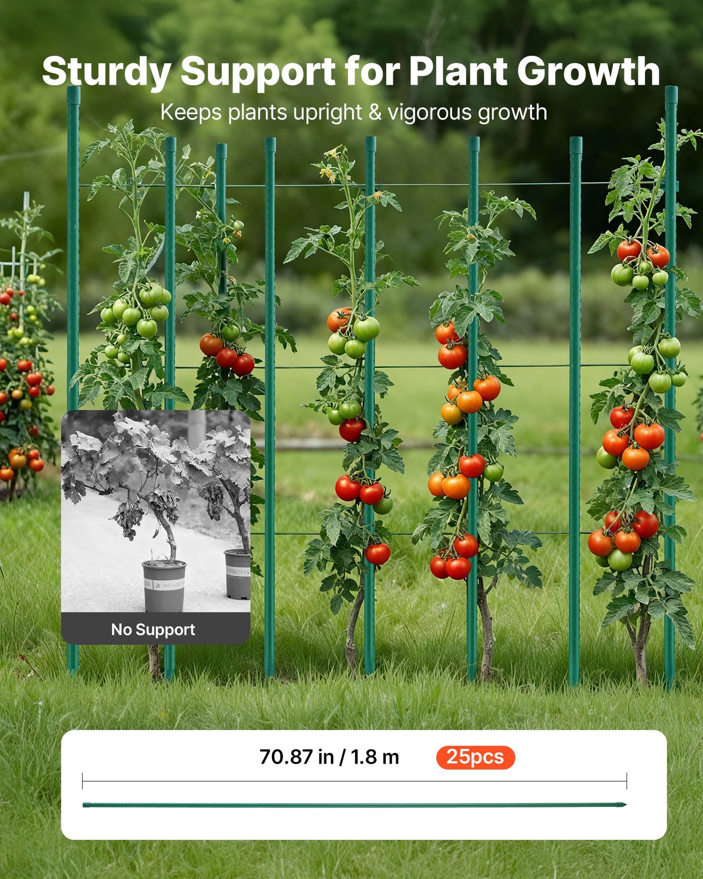 Garden Stakes, 25 Pack, 1800 mm, Plastic Coated Metal Tomato Stakes, Garden Sticks for Plants Support, with Pointed End and Non-Slip Bumps for Growing Climbing Plants, Outdoor Vegetables - Image 2