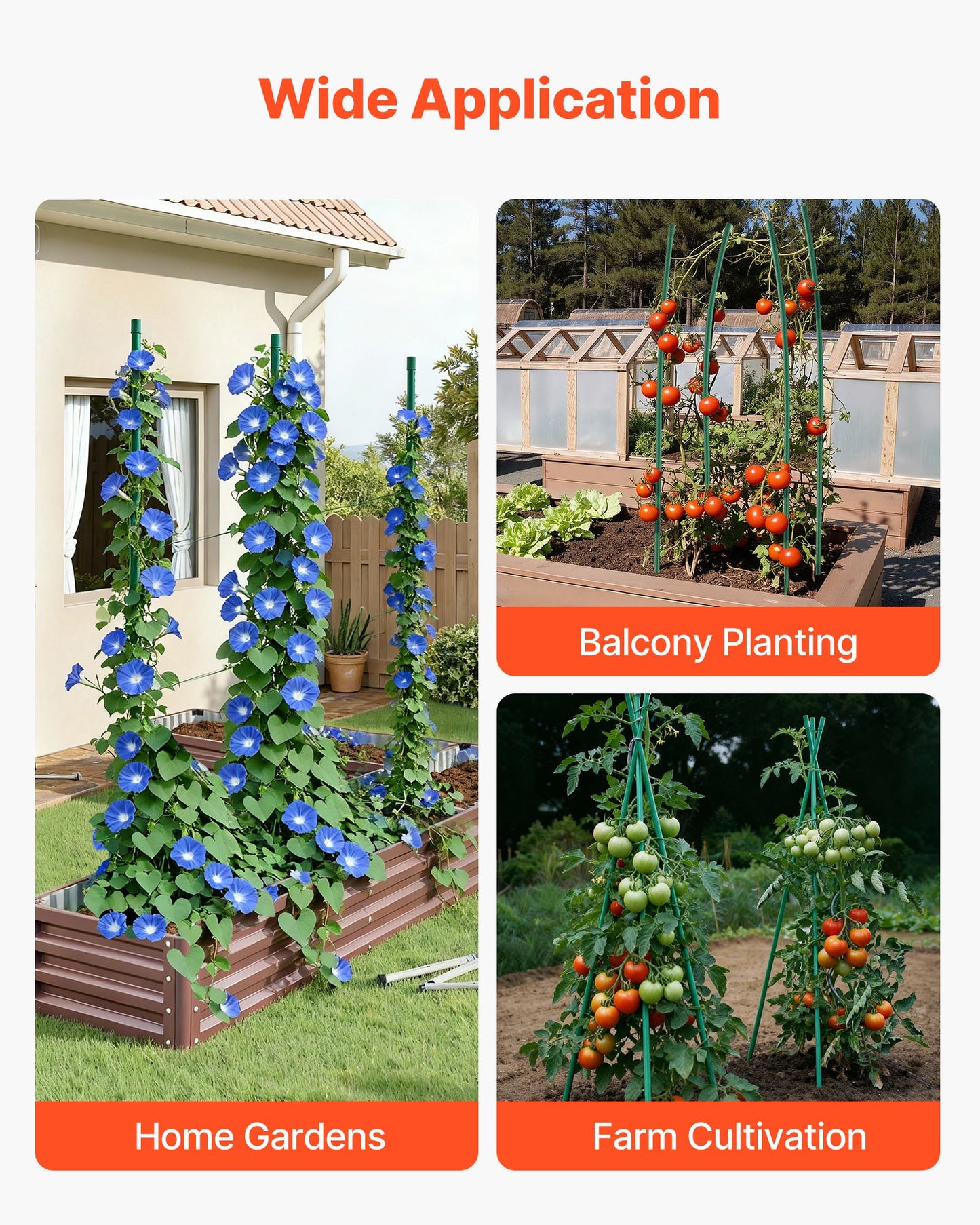 Garden Stakes, 25 Pack, 1800 mm, Plastic Coated Metal Tomato Stakes, Garden Sticks for Plants Support, with Pointed End and Non-Slip Bumps for Growing Climbing Plants, Outdoor Vegetables - Image 6