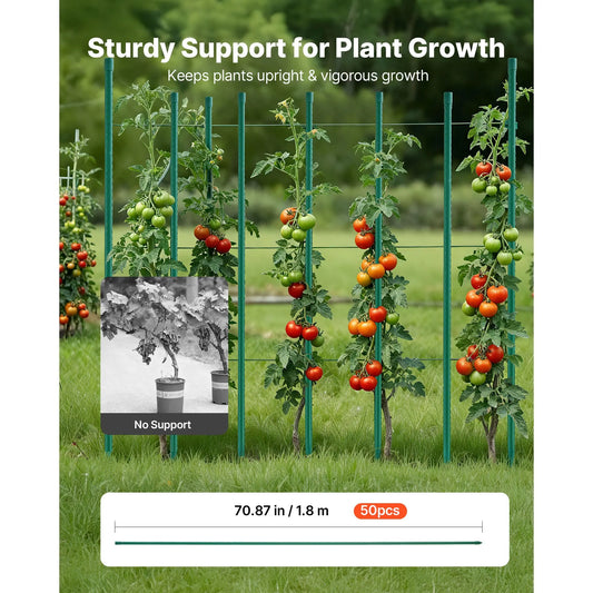 Garden Stakes, 50 Pack, 1800 mm, Plastic Coated Metal Tomato Stakes, Garden Sticks for Plants Support, with Pointed End and Non-Slip Bumps for Growing Climbing Plants, Outdoor Vegetables - Image 2