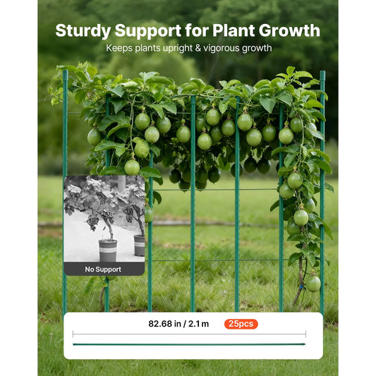 Garden Stakes, 25 Pack, 2100 mm, Plastic Coated Metal Tomato Stakes, Garden Sticks for Plants Support, with Pointed End and Non-Slip Bumps for Growing Climbing Plants, Outdoor Vegetables - Image 2