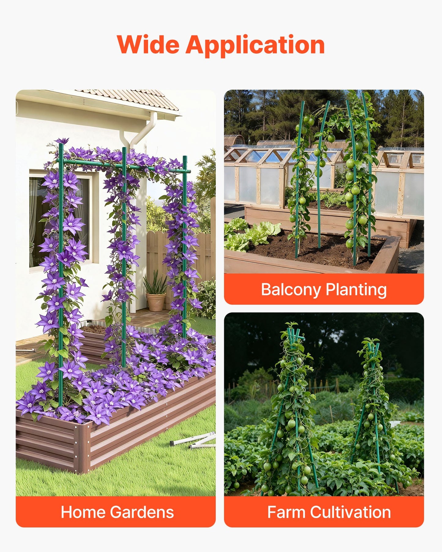 Garden Stakes, 25 Pack, 2100 mm, Plastic Coated Metal Tomato Stakes, Garden Sticks for Plants Support, with Pointed End and Non-Slip Bumps for Growing Climbing Plants, Outdoor Vegetables - Image 6