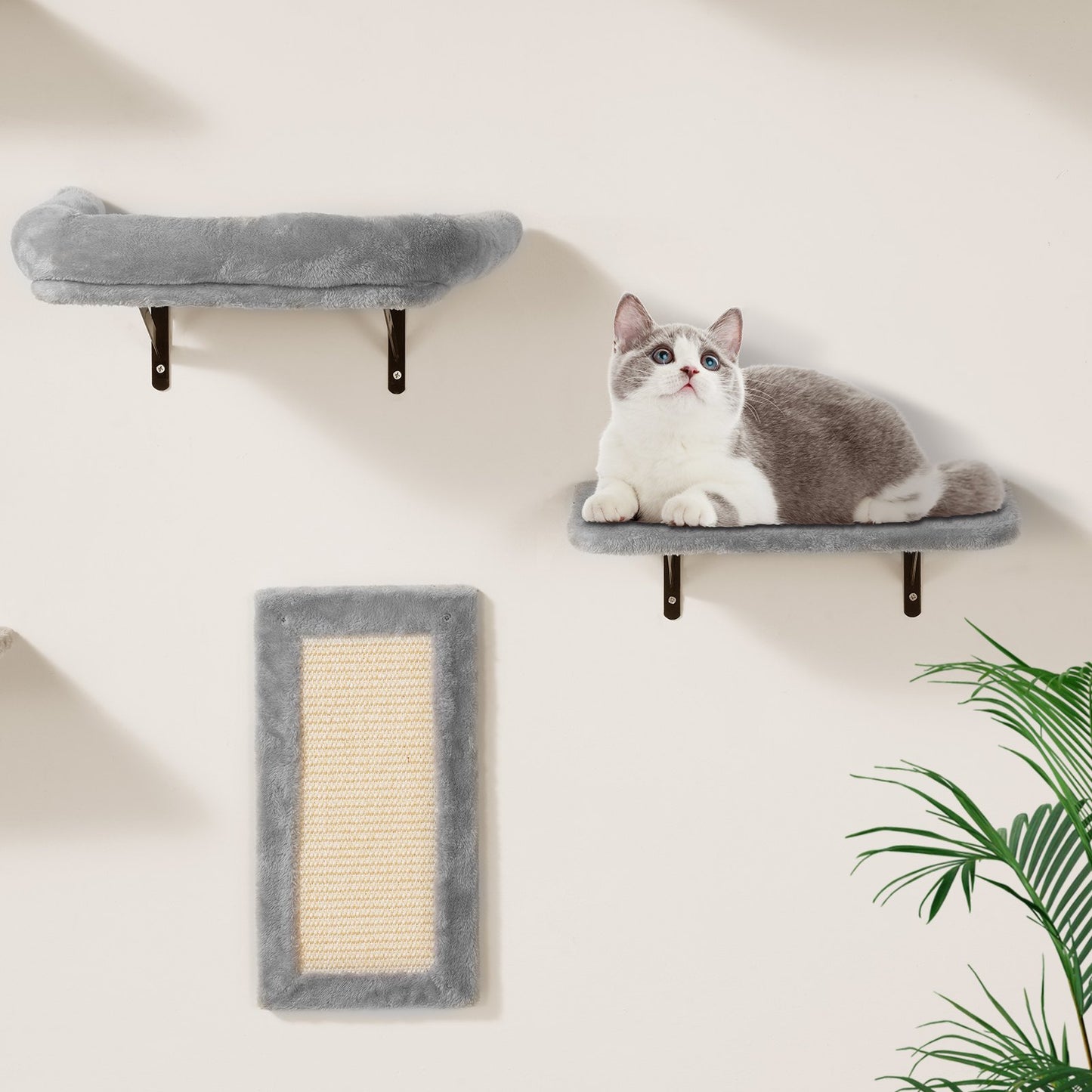 Wall Mounted Cat Shelves, Cat Wall Shelves and Perches with Jumping Boards, Hammock, Sofa, Cat Tree & Cat Grip, Cat Furniture and Shelves up to 40 lbs for Sleeping, Playing, Climbing, Set of 6 - Image 8
