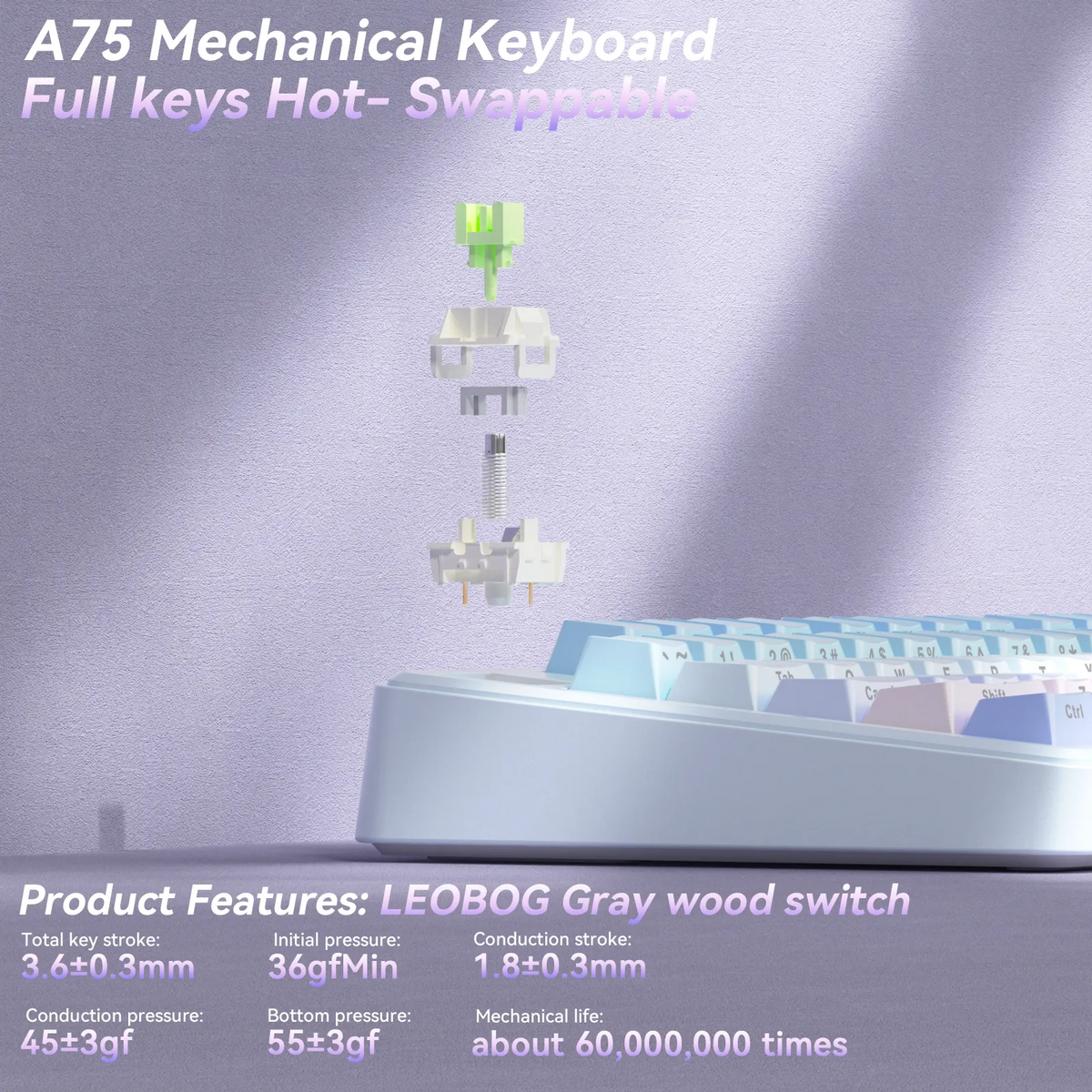 SOLAKAKA A75 75% Gasket Mechanical Keyboard Tri-Mode Hot-Swap Knob - Image 5